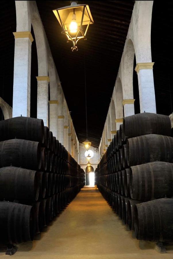 Sherryflat Palmeras Jerez de la Frontera Dış mekan fotoğraf